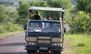 SunCity-47